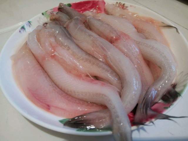 虾潺又叫豆腐鱼,水潺,龙头鱼,九肚鱼,是我国海边最常见的一种鱼类,从