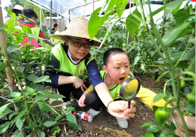 逛菜园挖土豆喂小动物做环保贴画这个亲子活动很不一样
