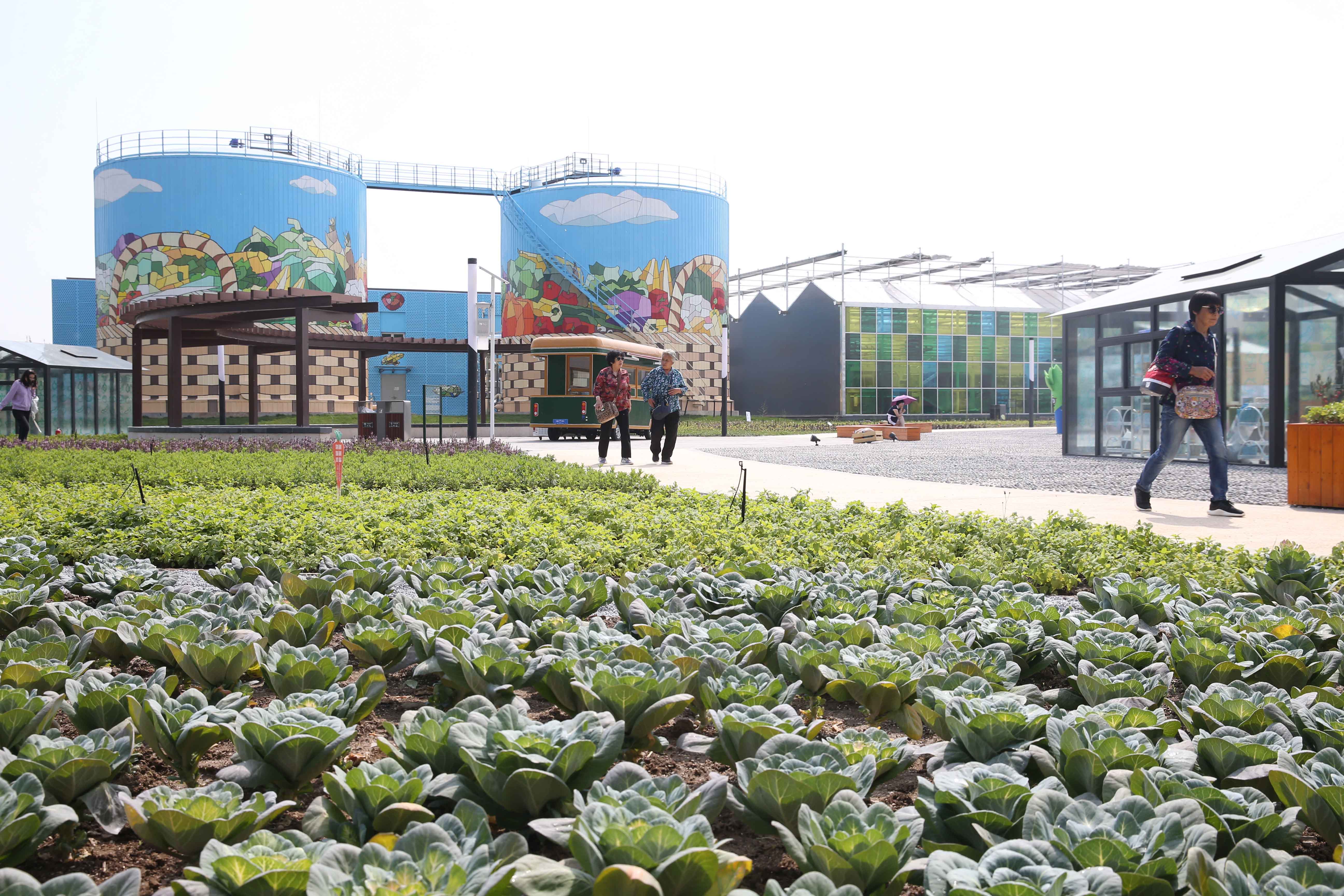 摄影爱好者走进北京世园会百蔬园_蔬菜