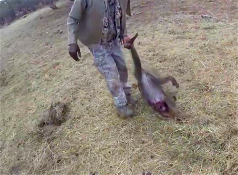 两名 猎手将狒狒攻击了之后就出去将其准备扯走,很显然狒狒的表情是