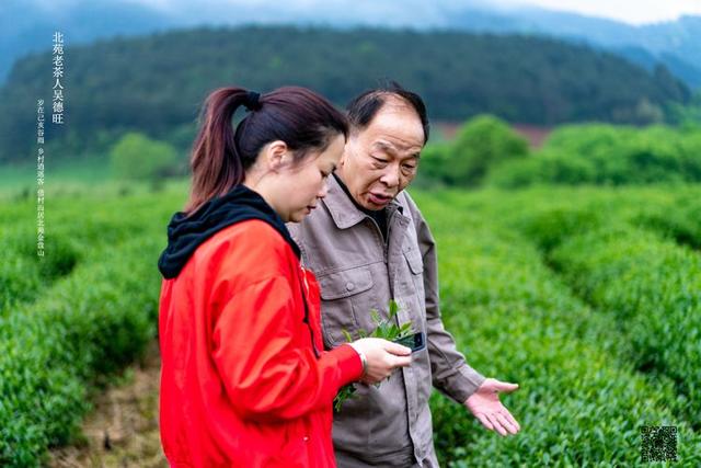 原创北苑老茶人吴德旺