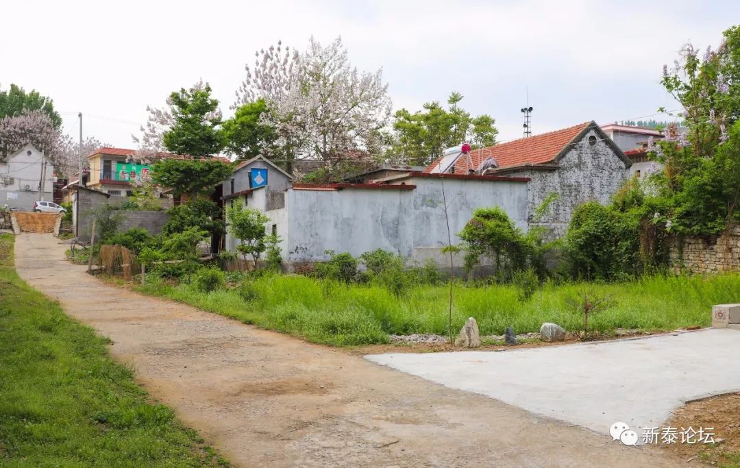 大美新泰汶南镇类王庄村