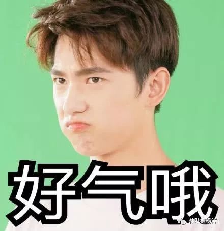 杨洋搞笑表情包今天的小可爱是一个呆呆的柠檬男孩