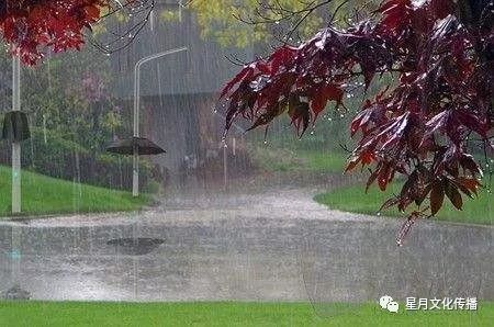 天气图片大全风景小雨图片