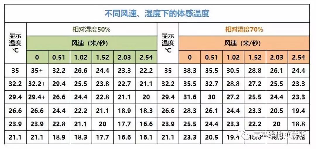 肉鸡体感温度对照表图片