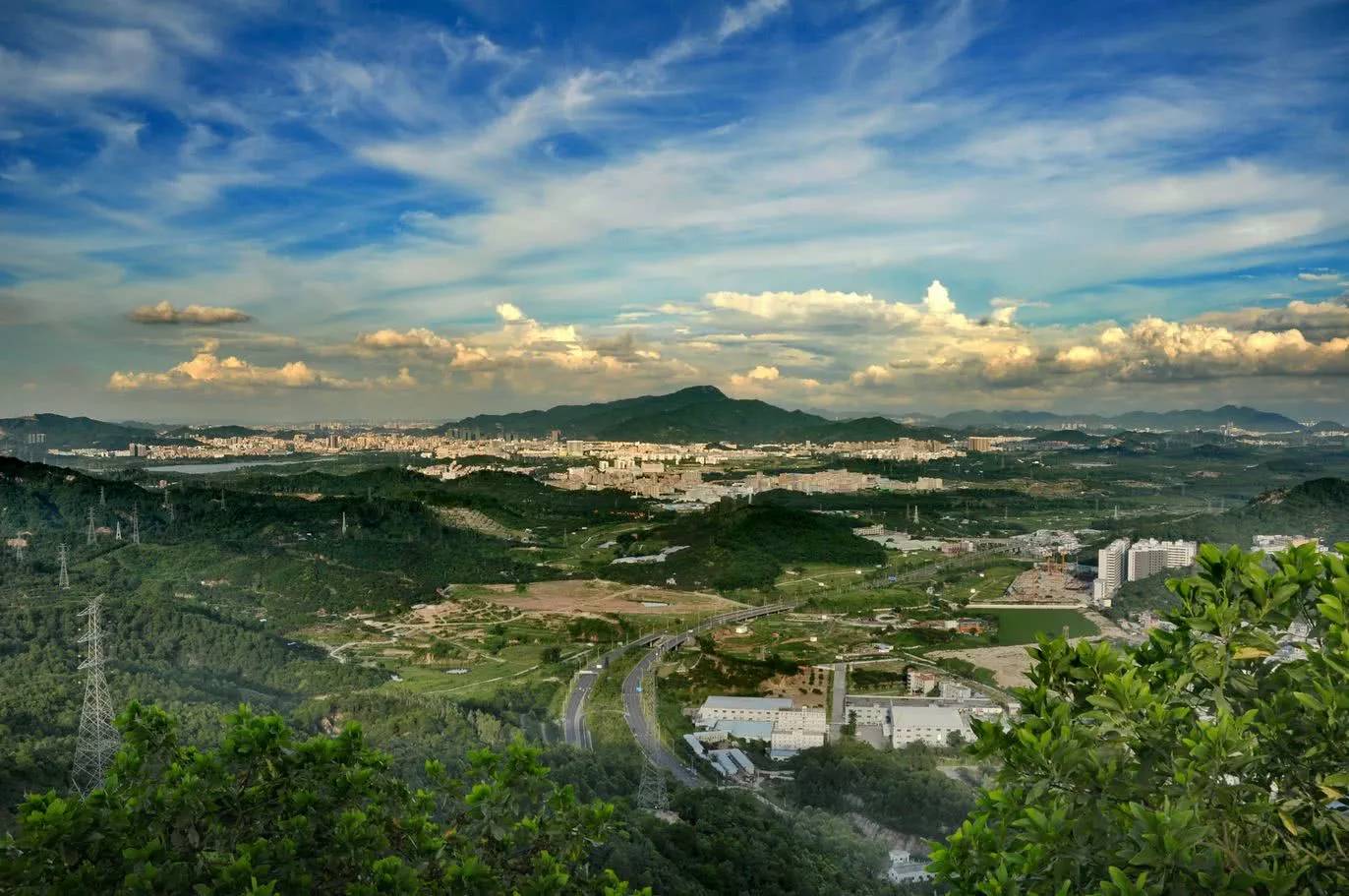 这九家上市房企已经完成全年三成销售任务