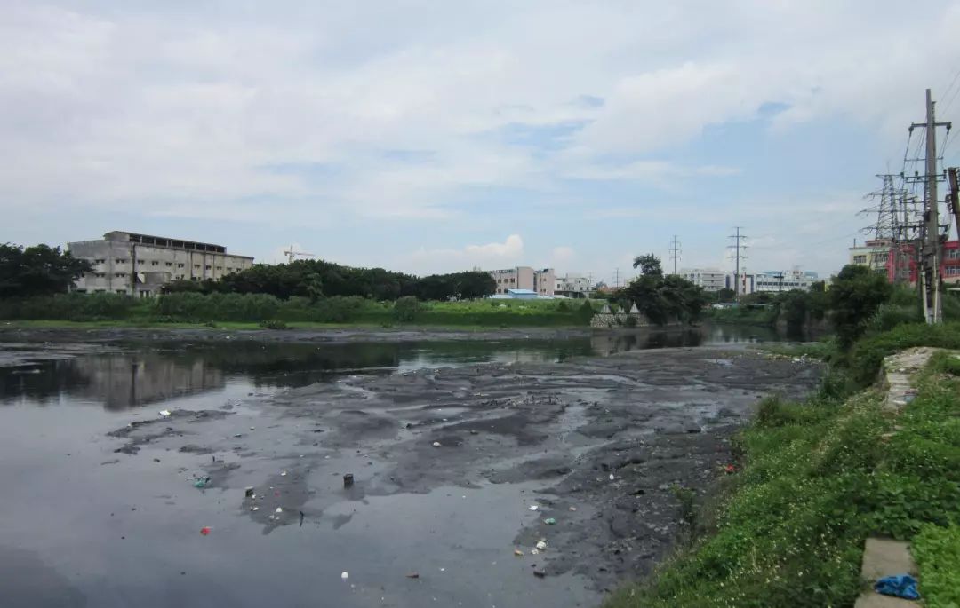 快来沙井街坊溜娃赏景好去处相约排涝河边