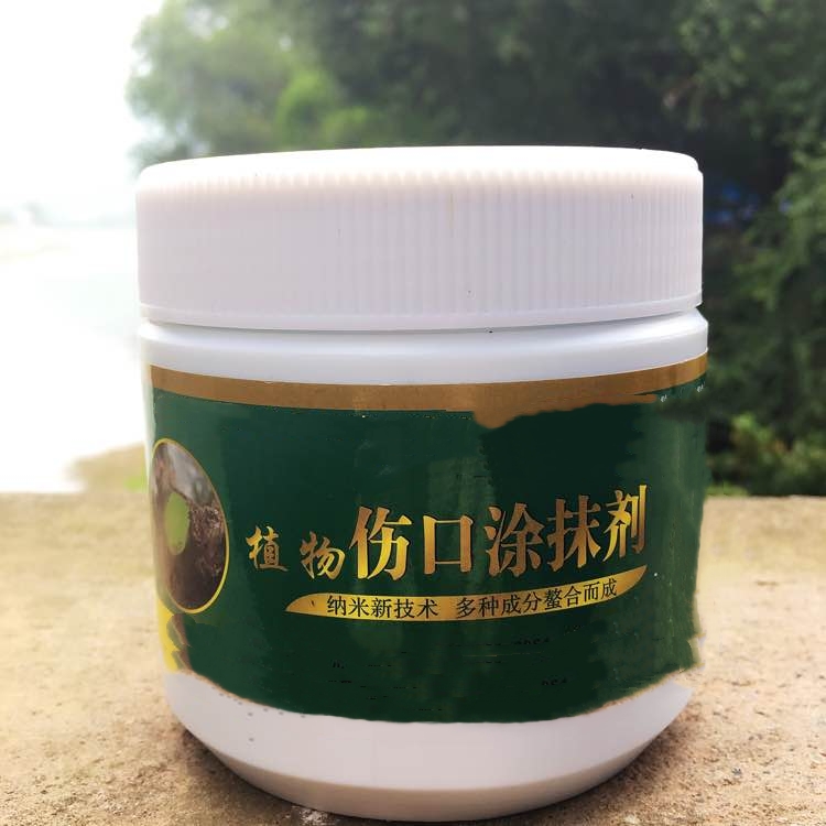 原创修剪黄荆老桩头你还在用草木灰涂抹剪口吗伤口愈合剂了解一下