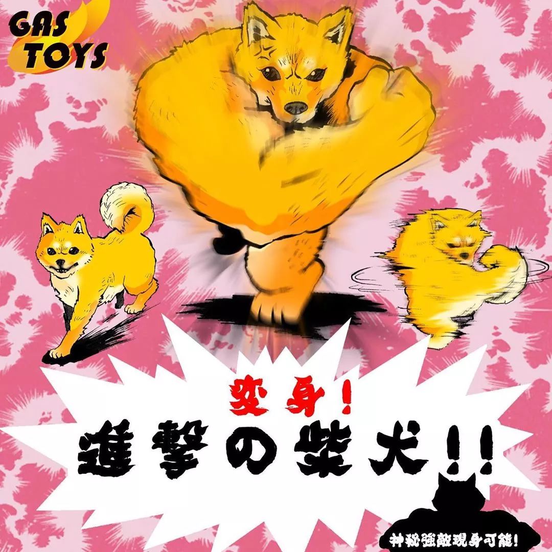 之前的肌肉柴犬出模型了哈哈哈