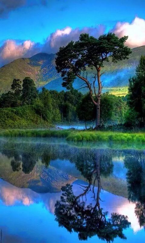 无法形容的视觉盛宴太炫了