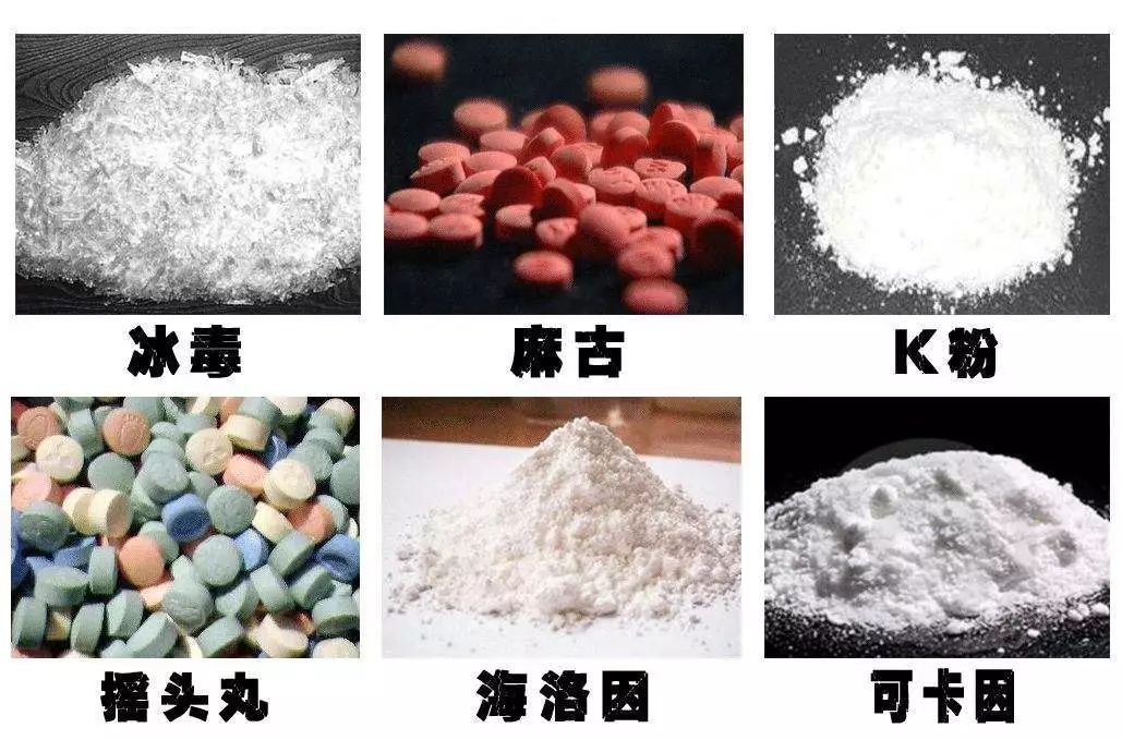 常见毒品有哪些图片