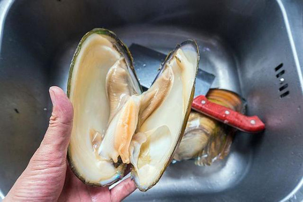 一种"农村海鲜"鲜美又营养,却含有大量寄生虫,你真懂怎么吃吗_河蚌