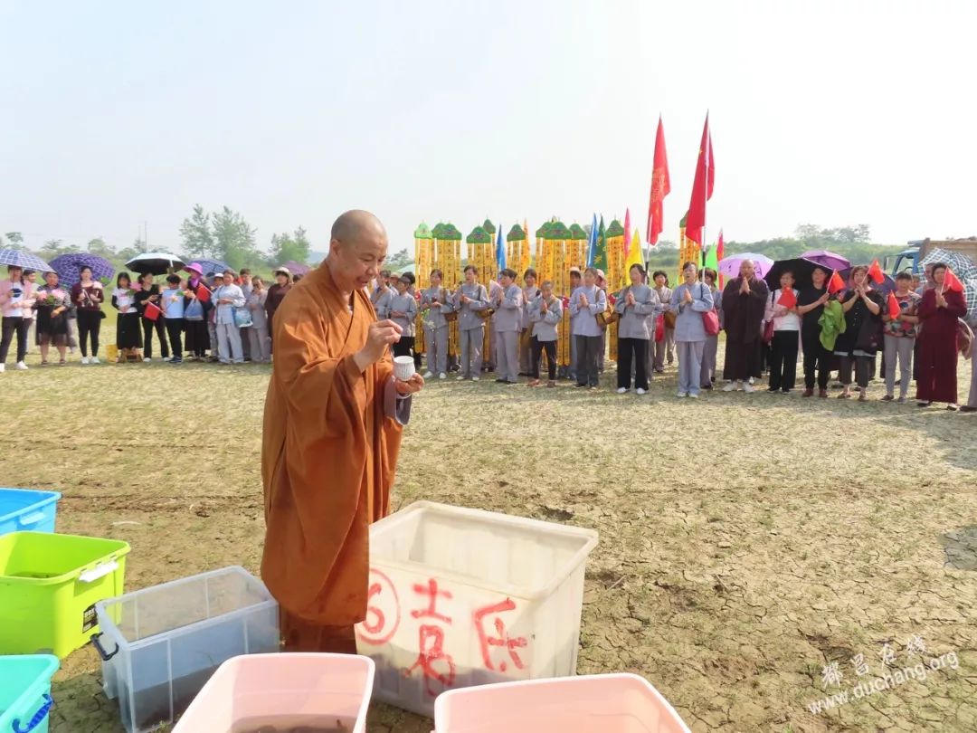 昨天,近200人聚集新妙湖举行放生活动,佛教高僧为此祈福