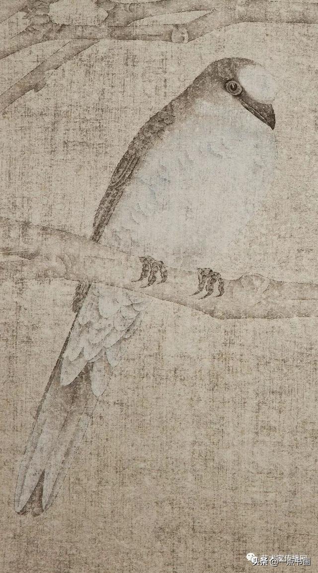 王法工笔花鸟作品欣赏