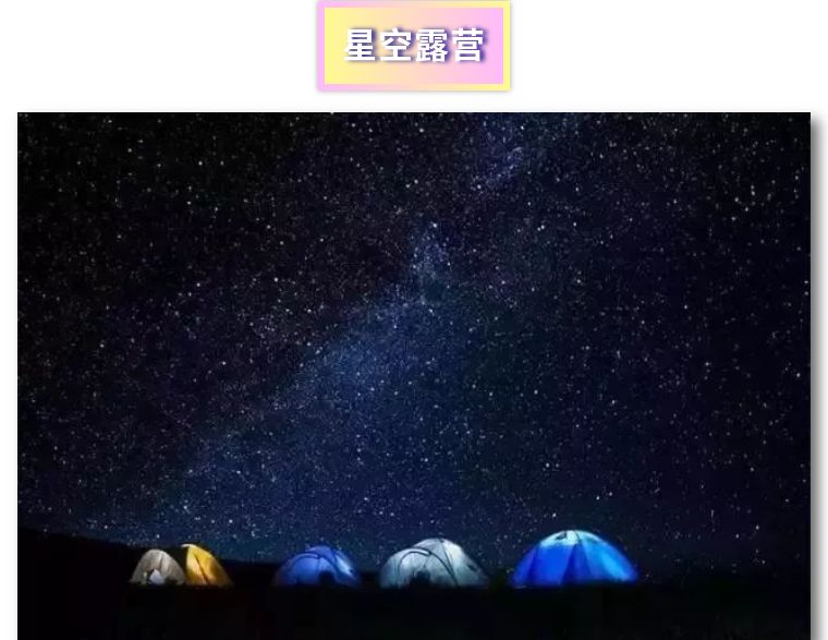 北京首屆攜寵音樂節音樂美食星空帳篷還有可愛的ta