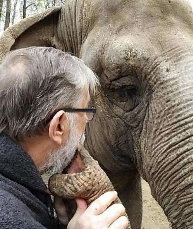 大象认出失散35年的动物管理员,温馨拥抱"爸爸",它真的没忘