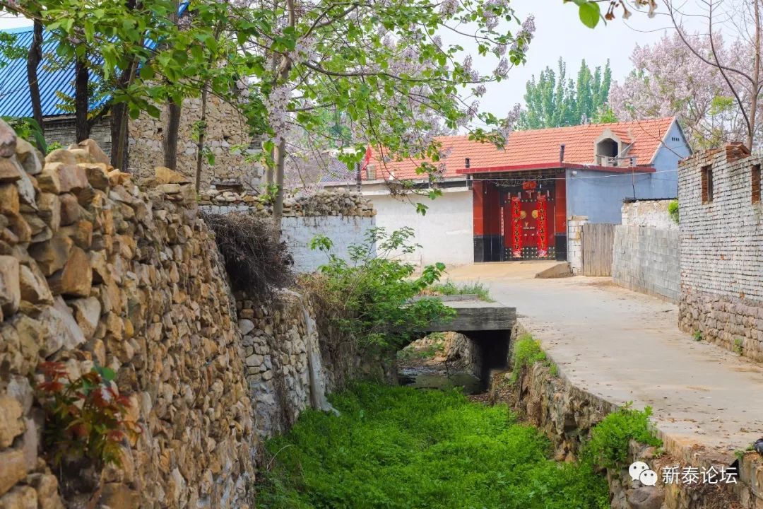 大美新泰—汶南镇西鲁村