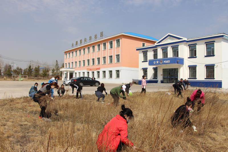 大雁镇开展春季爱国卫生大会战