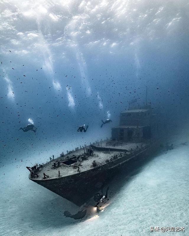 深海恐惧症图片超长图片