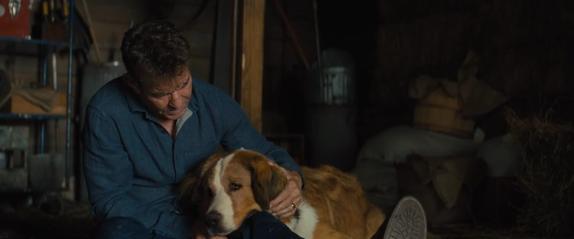 这部小成本电影才两年就出了续集_贝利