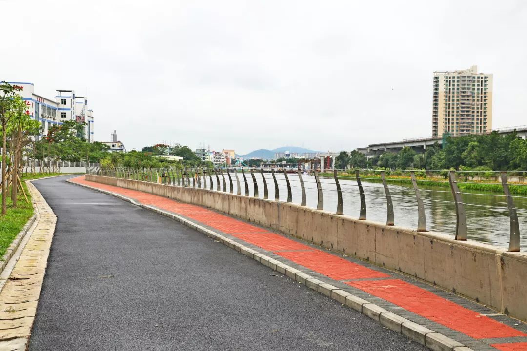 ▼河滩湿地花木生长▼滨水步道绿意盎然"排涝河风景变美了!