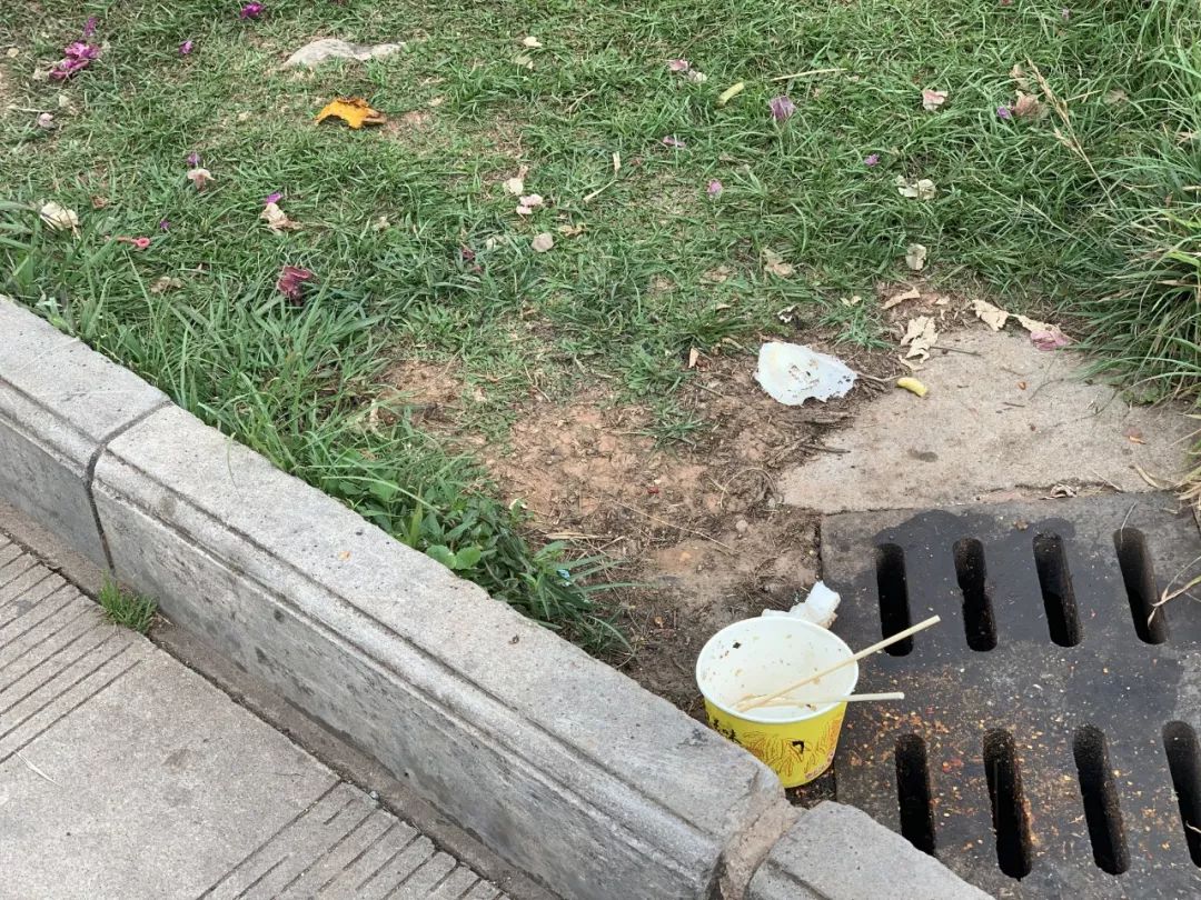 文明旅游梅子湖公园内乱扔垃圾现象依然存在