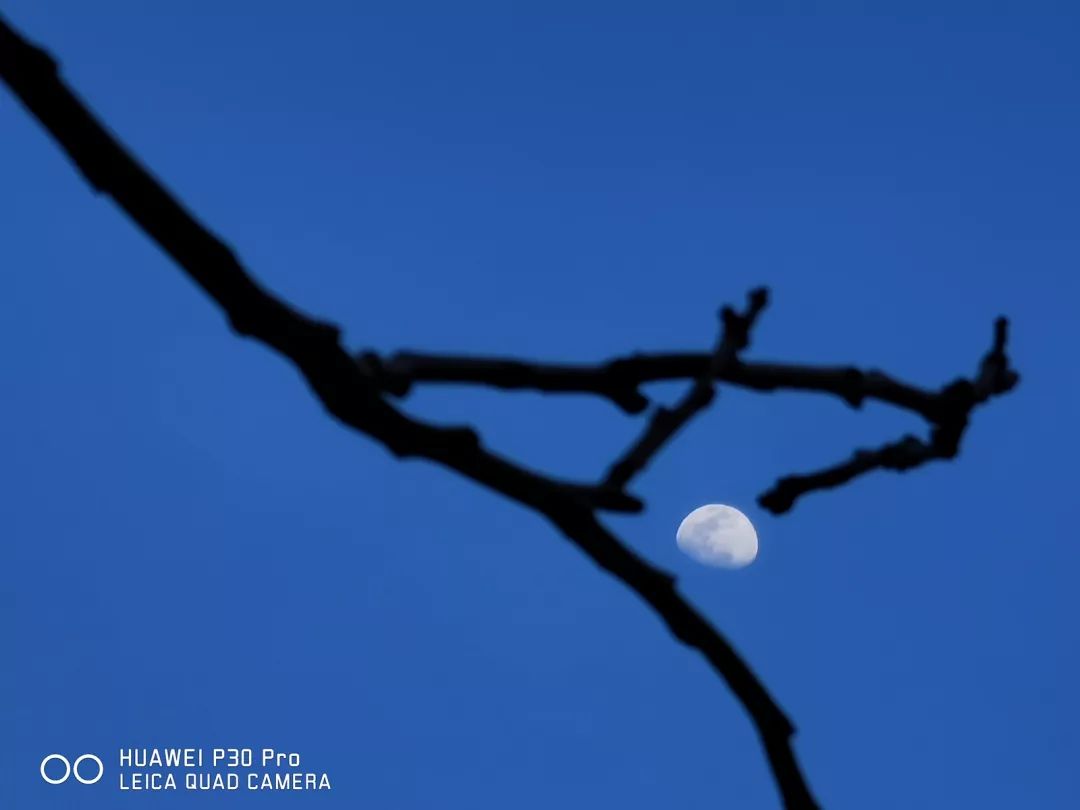 华为p30 pro创意拍月,潜望式长焦镜头实力爆表!_月亮