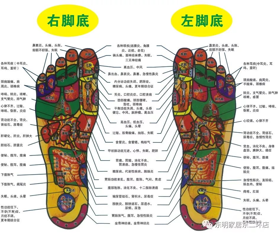 足底按摩的好处及方法_脚底板