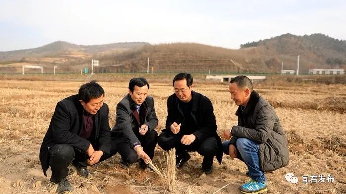 情系三农 汗洒黄土地—记"陕西省五一劳动奖章"获得者杨邦民先进