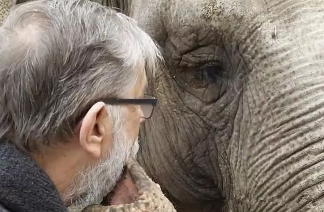 大象认出失散35年的动物管理员,温馨拥抱"爸爸",它真的没忘