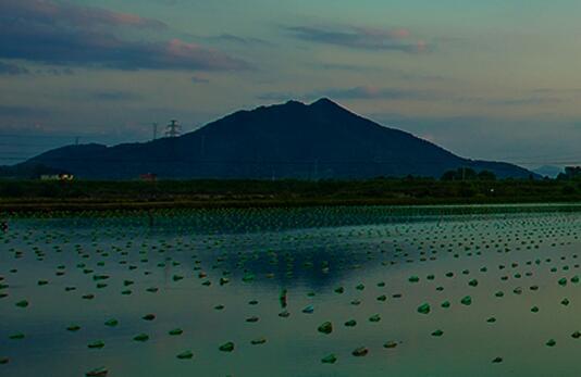 天使之泪存货占流动资产超55生产依靠外包被指缺乏核心竞争力