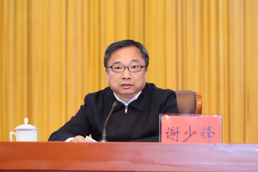 信软司谢少锋:推动信息化和软件服务业改革创新, 支撑制造强国和网络