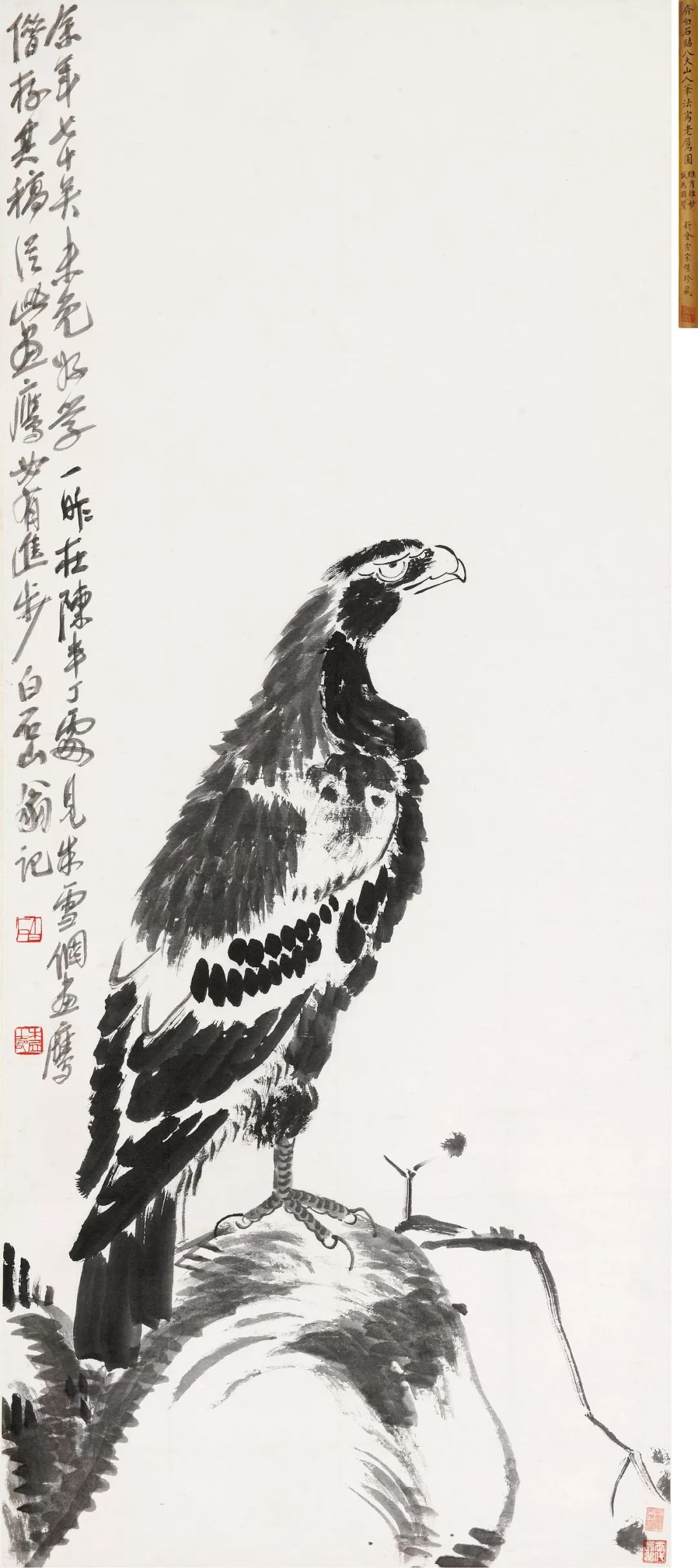 2平尺题识:余年七十矣,未免好学,一昨在陈半丁处见朱雪个画鹰,借存其