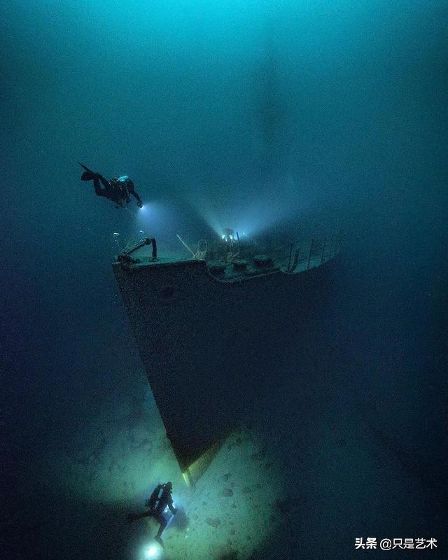 深海巨物恐惧症真实图片
