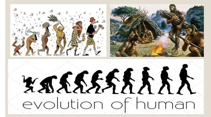 304班达尔文与进化论