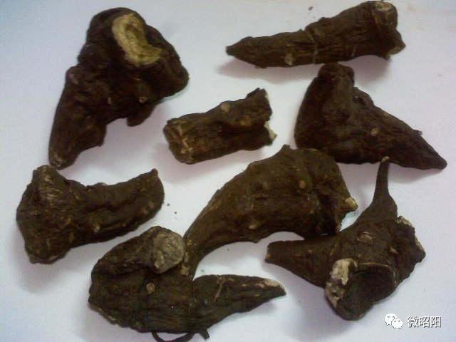 乌头碱是存在于川乌,草乌,附子等植物中的主要有毒成份.