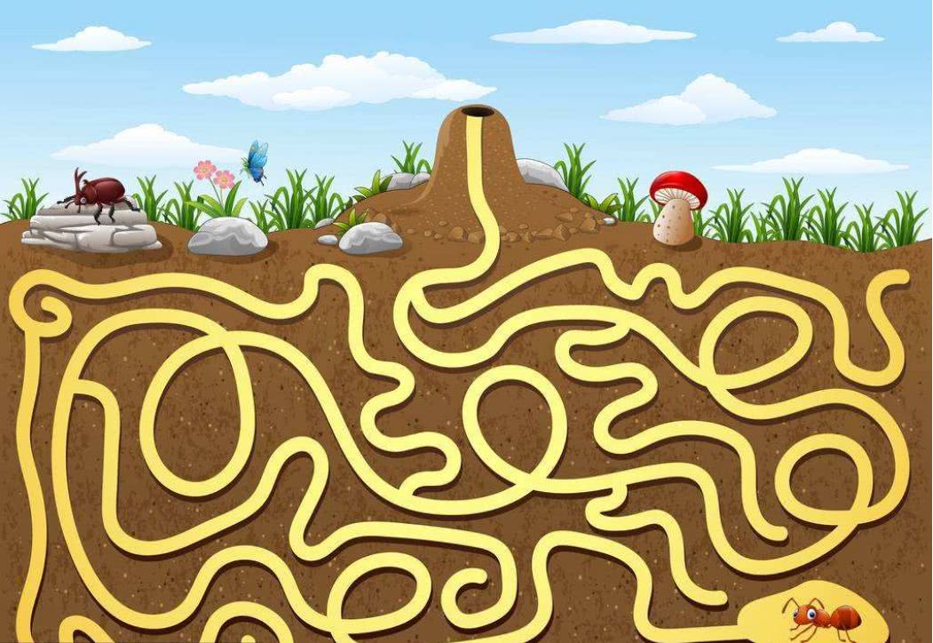 解密腾讯面试题 教孩子轻松玩出空间思维_迷宫