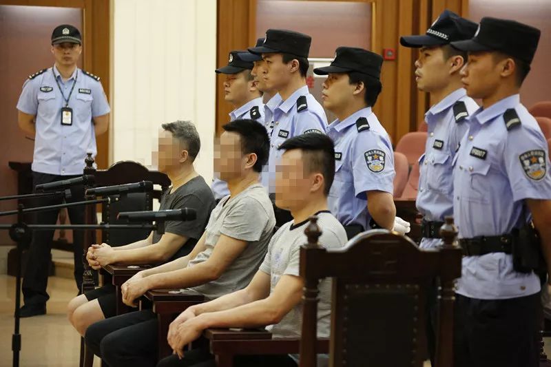 挖山占地强占强建打骂群众恶霸金某今日宣判了