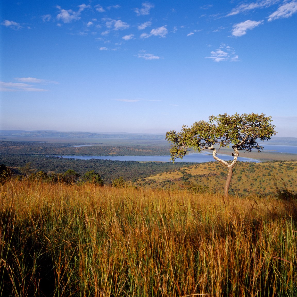 2019最佳旅游目的地之一卢旺达