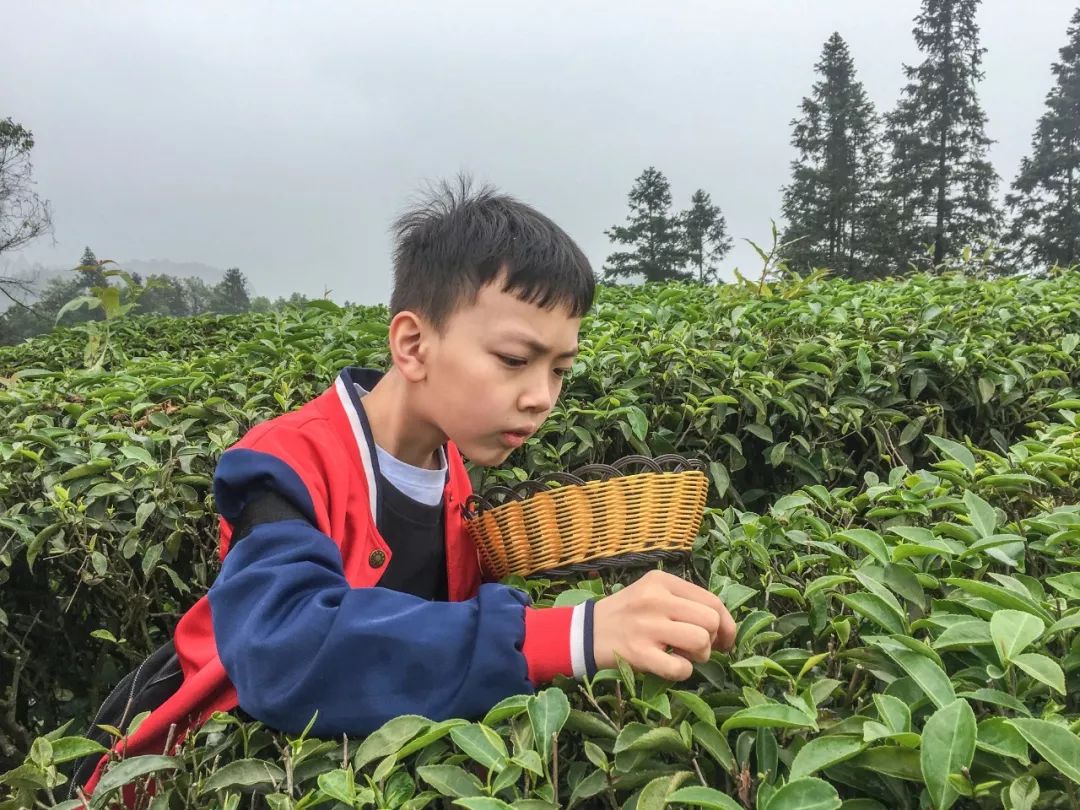 感恩父母快乐成长重庆渝中区邹容小学10岁集体生日会