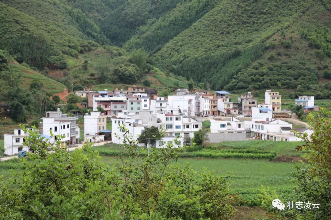 脱贫攻坚进行时 那伏村盛开三朵"致富花"