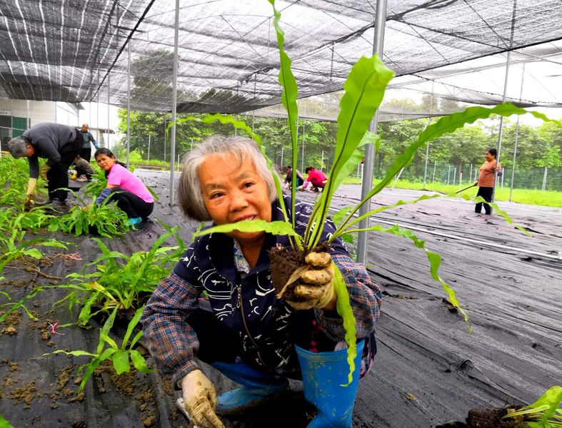 它是你的菜吗20蚊1斤