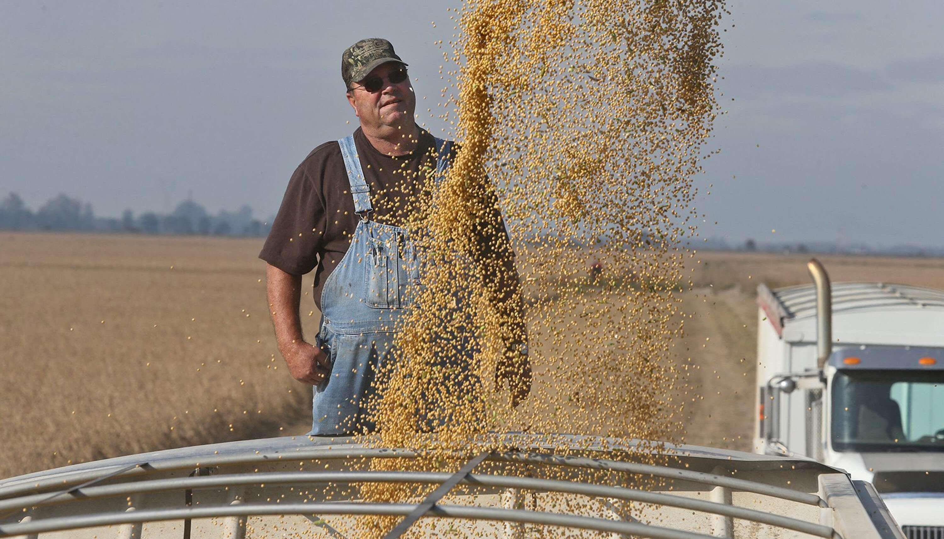 一季度,美国销往中国的大豆为483.33万吨,占其出口总量的38.9%