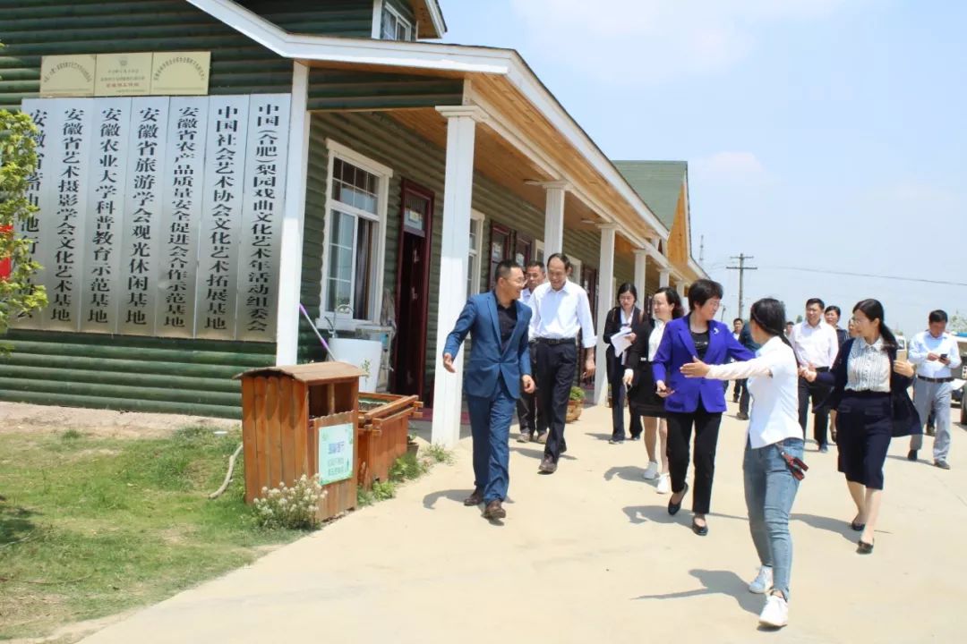 合肥市人大常委副主任及相关部门领导调研考察果玩田园综合体