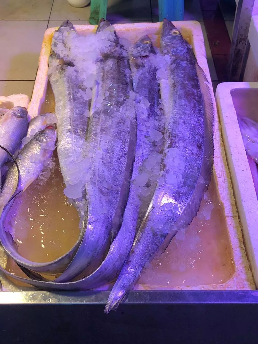 你想吃的海鲜涨价了吗?一起去逛逛休渔期的沙田海鲜市场