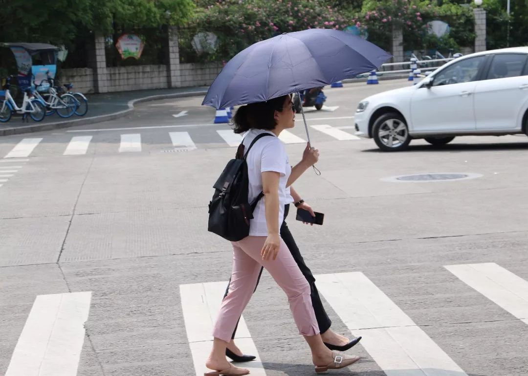 第43期街拍丽水的女神打伞都那么美