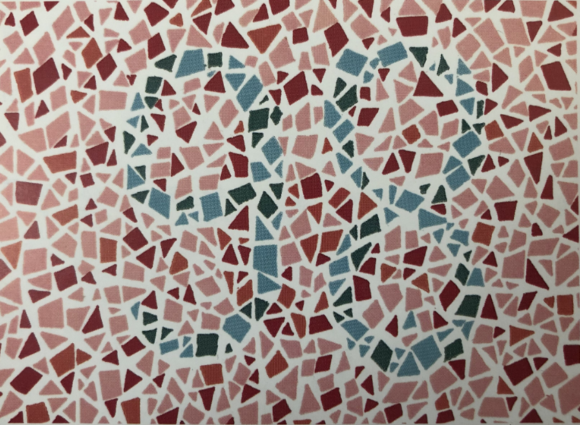 6张色盲检测图图中有只蝴蝶你看见了吗没看见就是色盲了