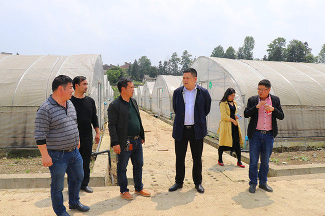 县委常委,县纪委书记,县监委主任袁靓到龙场,寨乐调研脱贫攻坚等工作