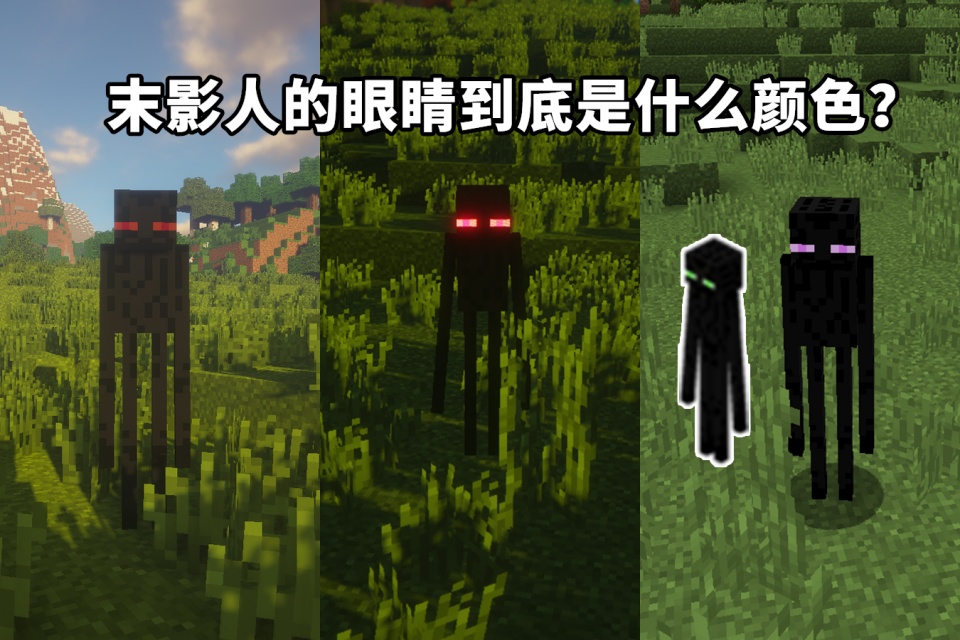 我的世界关于末影人的五个问题如何圈养小黑萌新一脸迷茫