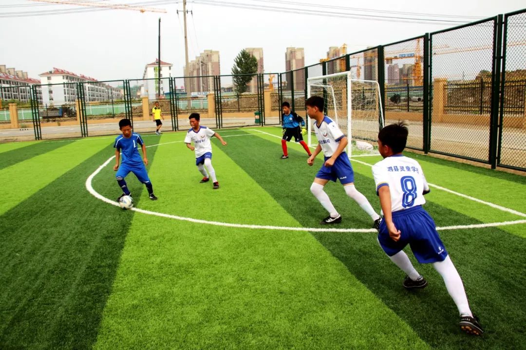 【体育运动】2019年"体彩杯"泗县小学生足球赛圆满结束
